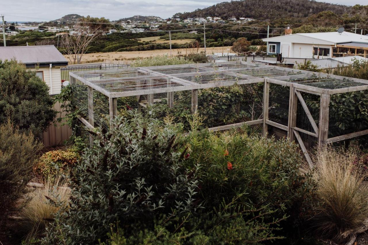 Vila Bicheno Gardens Exteriér fotografie